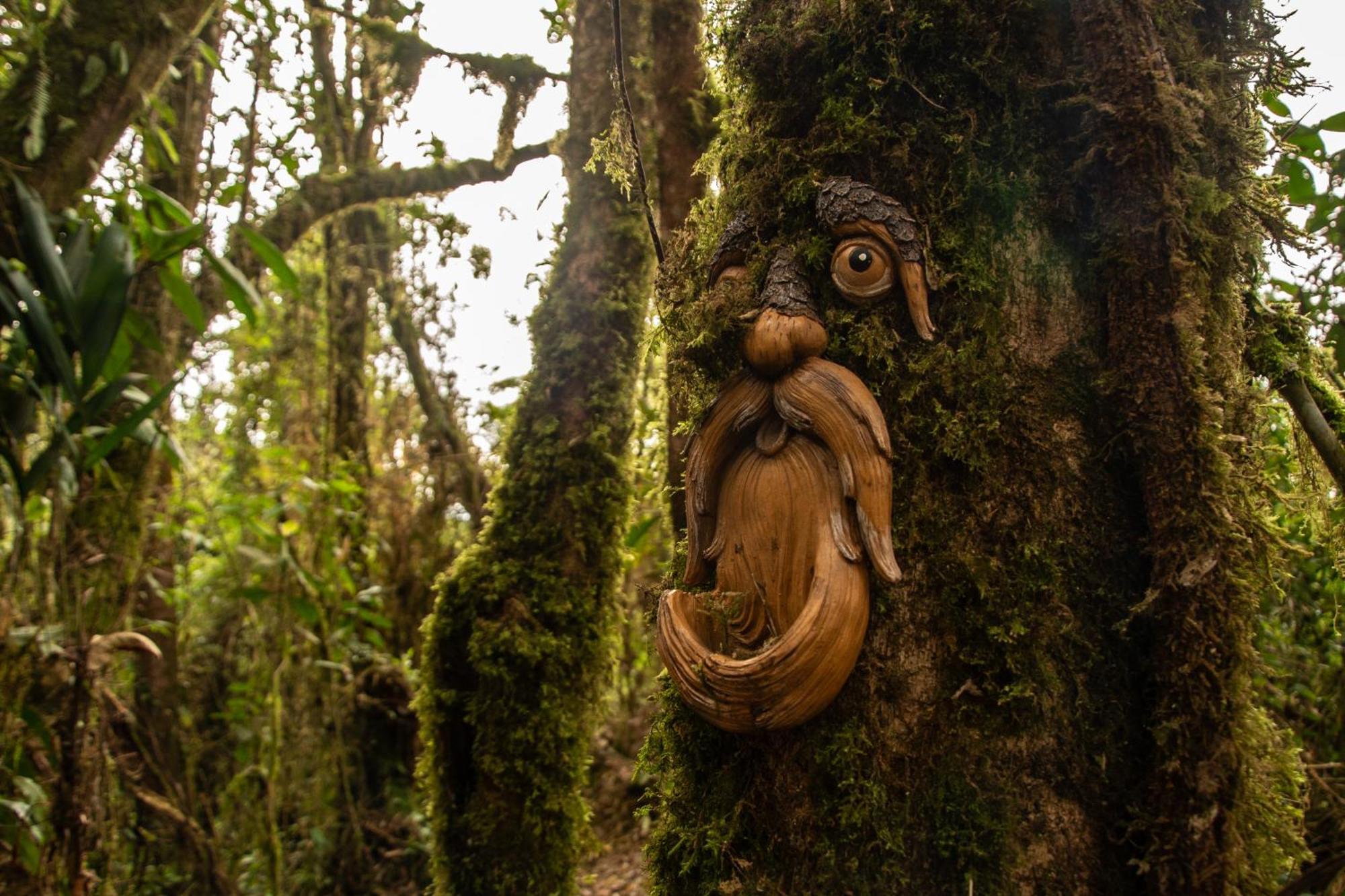 Owl'S Watch At Rio Blanco Villa Manizales Bagian luar foto
