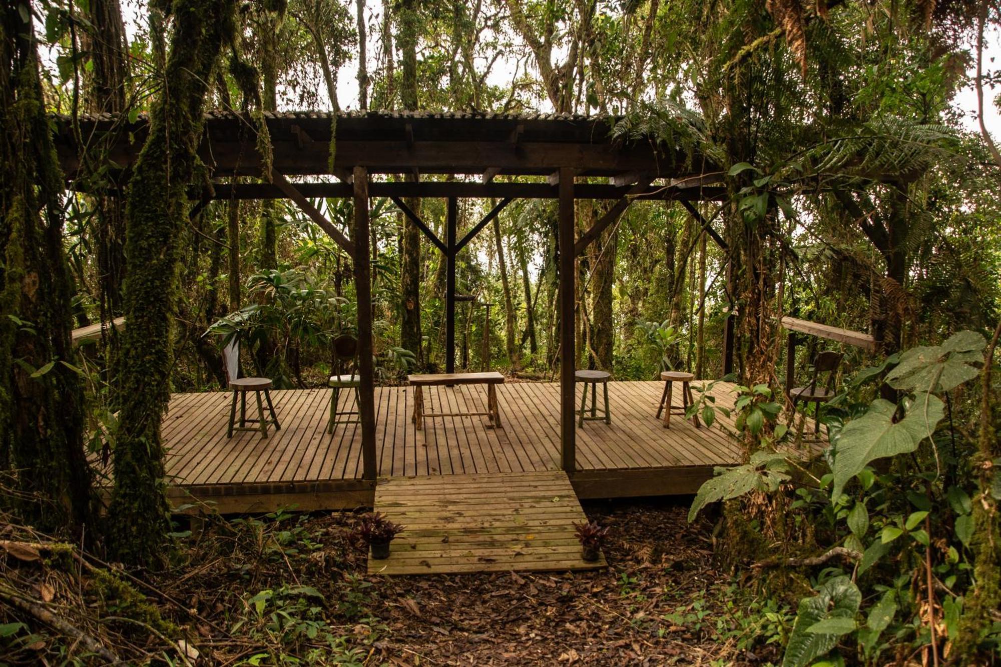 Owl'S Watch At Rio Blanco Villa Manizales Bagian luar foto